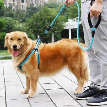 Reflectorizante ham Nylon de Mers pe jos de Câine de Formare Lese Consumabile pentru animale de Companie Set Burete Maner Confortabil Câine Accesorii