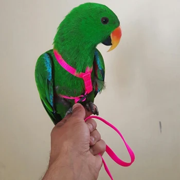 Anti-Muște Zburătoare Instruire Papagal Pasăre Lesa Kituri Ultralight Ham Lesa Moale Portabil Animale De Companie Jucării