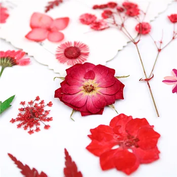 Roșii Uscate Natural Real Sortiment De Flori Presate Frunze De Arțar Ierbar Foaie Decor Floral Ambarcațiuni De Rășină Rășină De Artă